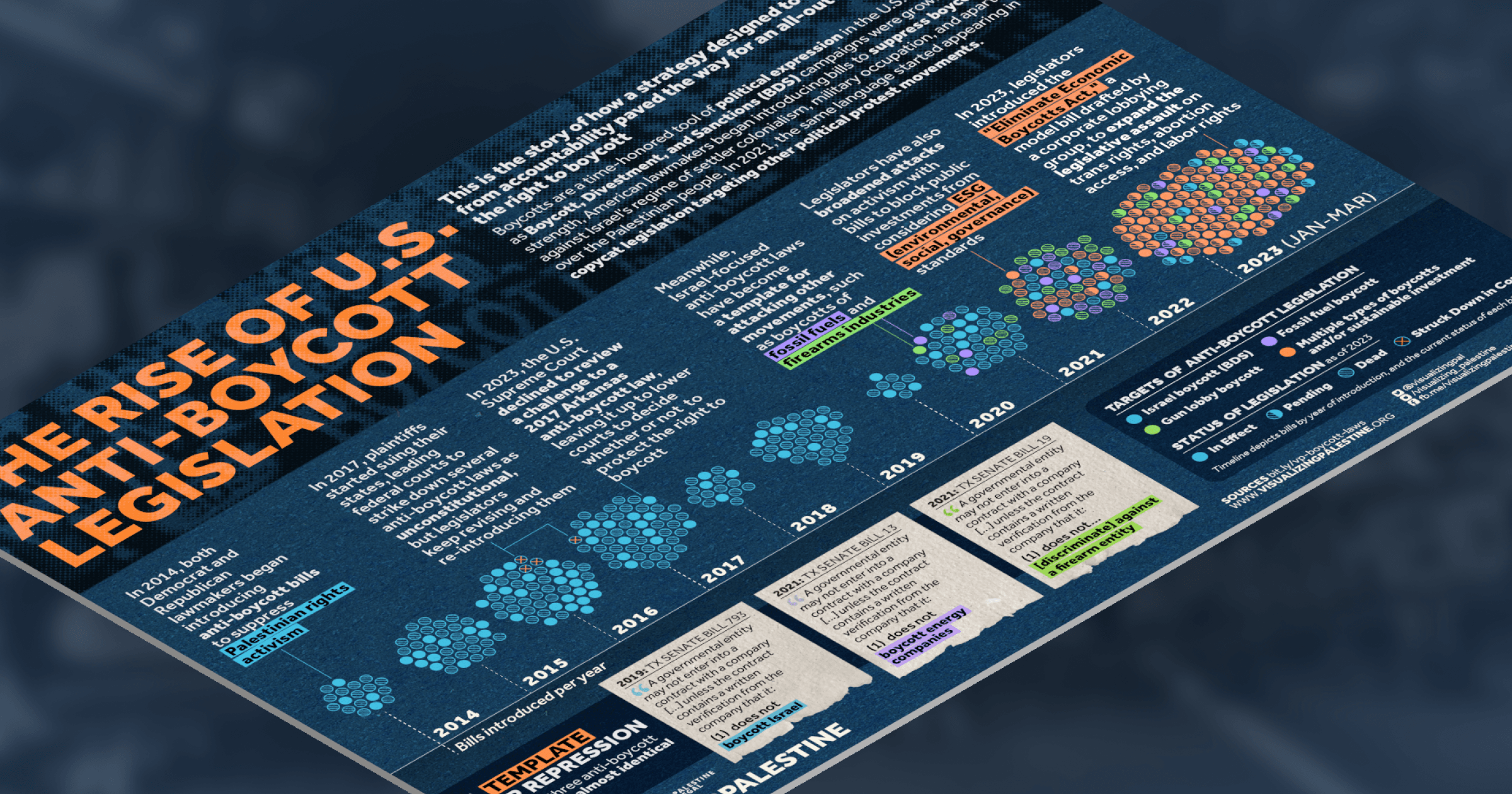Screenshot of Visualizing Palestine's print-based infographic